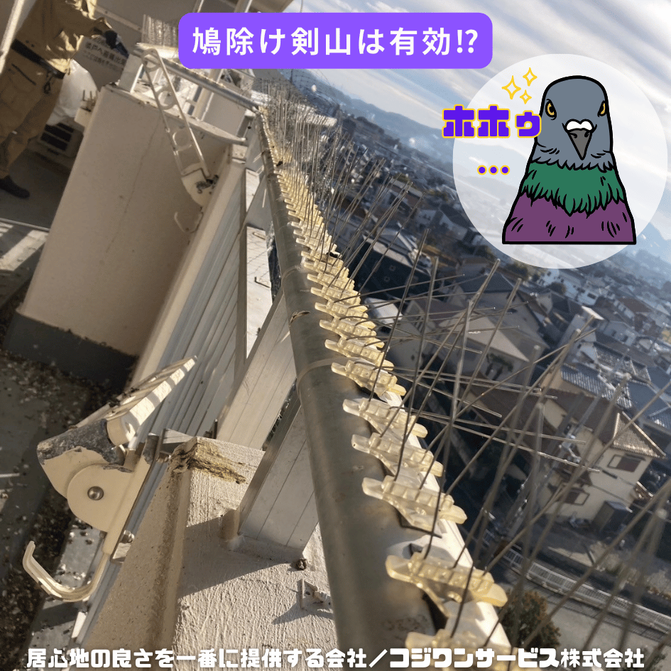 鳩除け剣山は有効か？