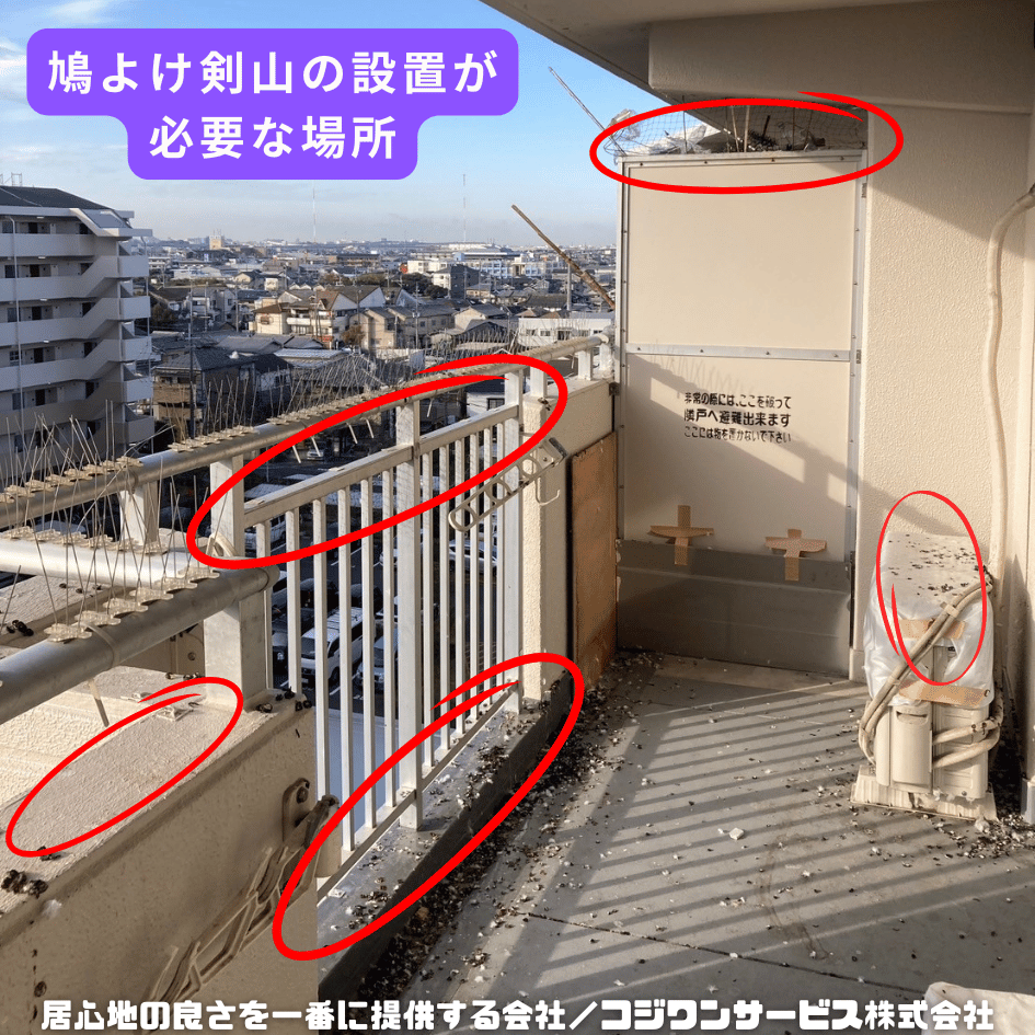 鳩除け剣山を設置する必要がある場所