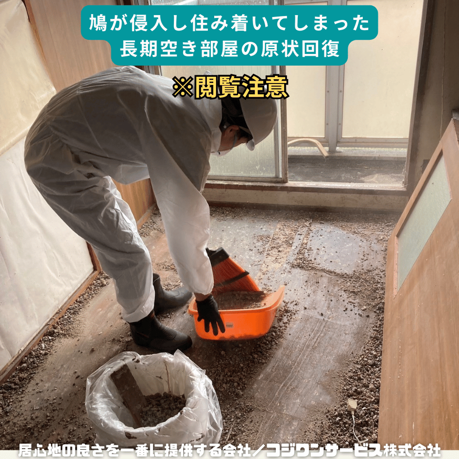 長期空室に鳩が住み着いた汚損の原状回復 長期空室に鳩が住み着いた汚損の原状回復
