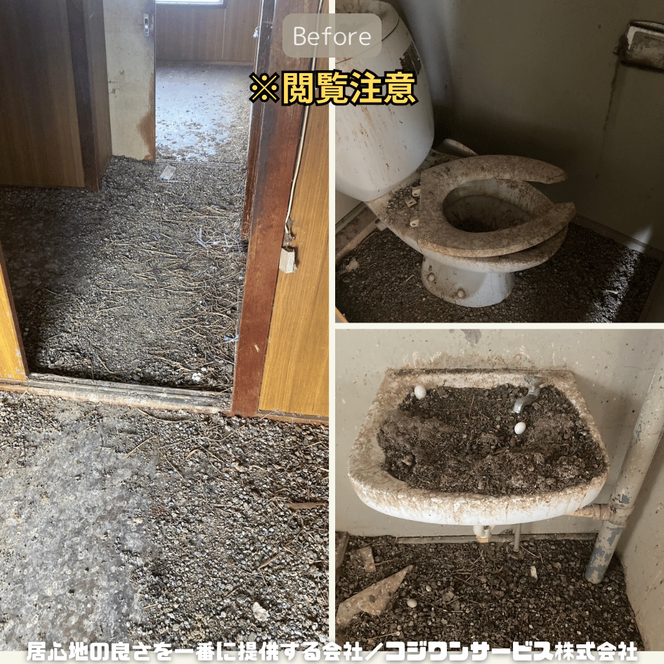 部屋内だけでなくトイレや洗面も鳩糞だらけ 部屋内だけでなくトイレや洗面も鳩糞だらけ