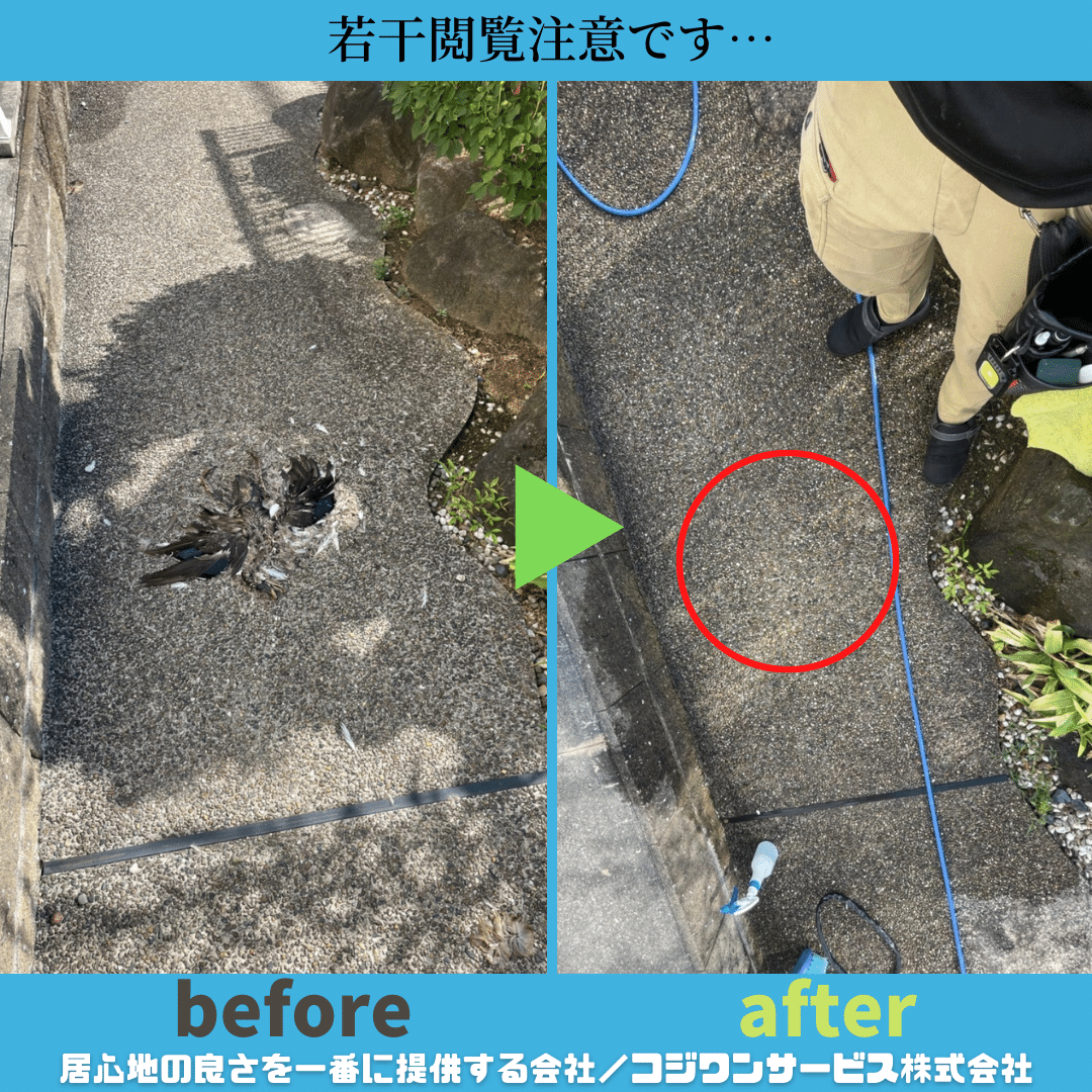 鳥の死骸処理前後写真