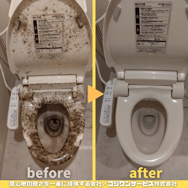 長期空室のトイレがカビだらけに