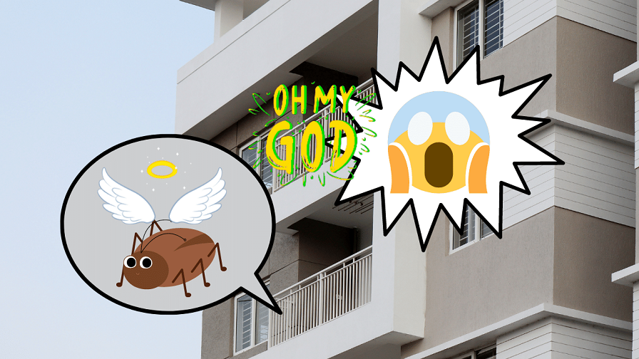 ベランダにゴキブリの死骸