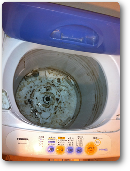洗濯機の汚れ作業前